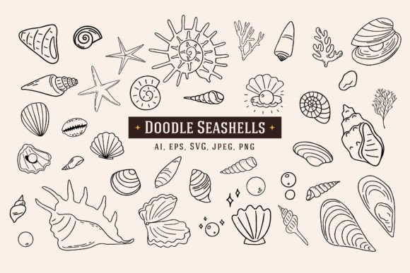 Download 40 Doodle Seashells - Premium Resources