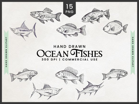 Download Hand Drawn Ocean Fishes Clipart Bundle - Fishes Collection