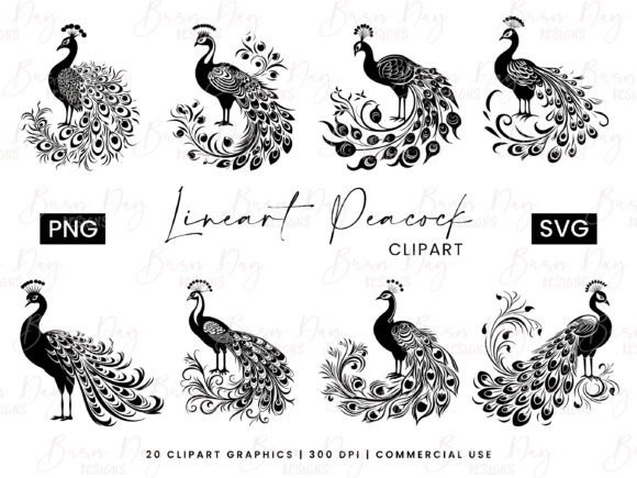 Download Lineart Peacock Clipart Bundle - Premium Resources